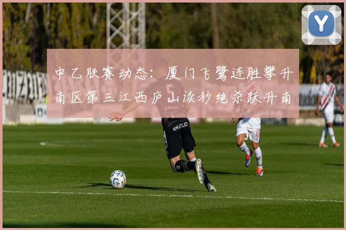 中乙联赛动态：厦门飞鹭连胜攀升南区第三江西庐山读秒绝杀跃升南区第四