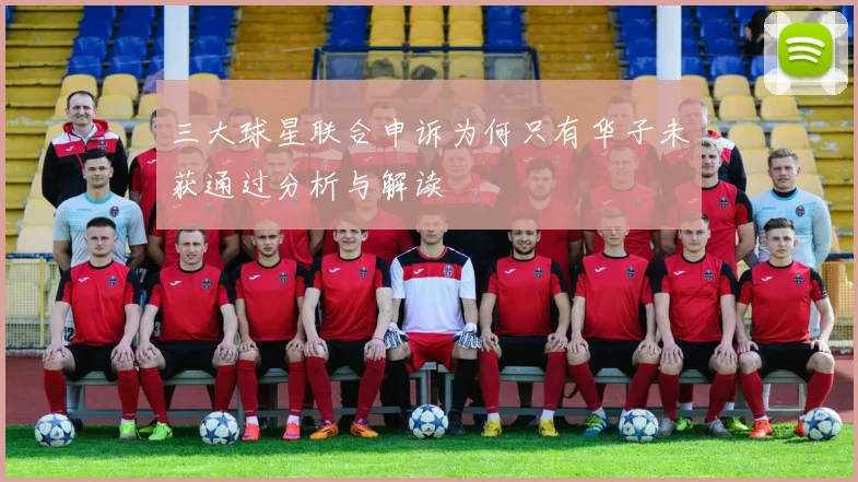 三大球星联合申诉为何只有华子未获通过分析与解读