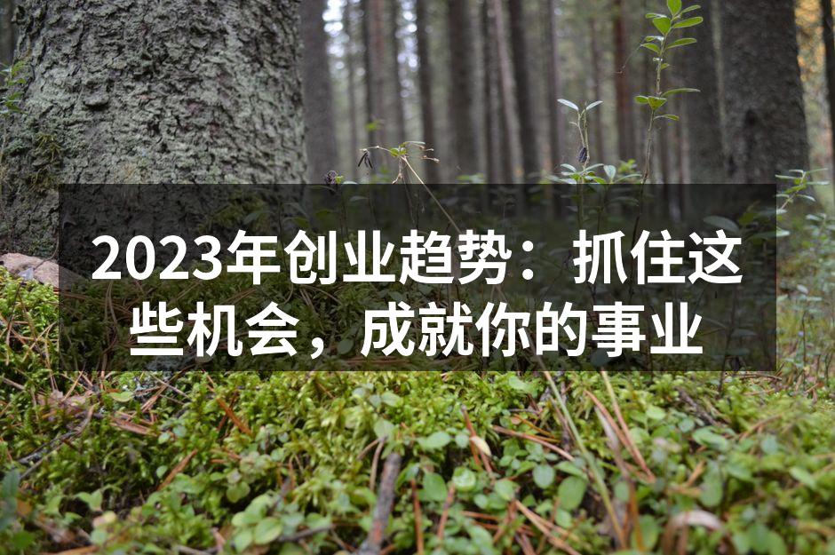 2023年创业趋势：抓住这些机会，成就你的事业