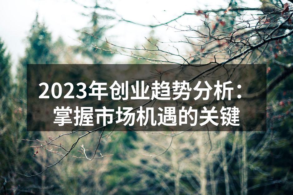 2023年创业趋势分析：掌握市场机遇的关键