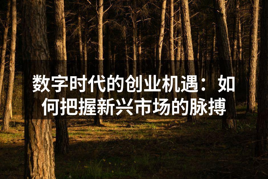 数字时代的创业机遇：如何把握新兴市场的脉搏