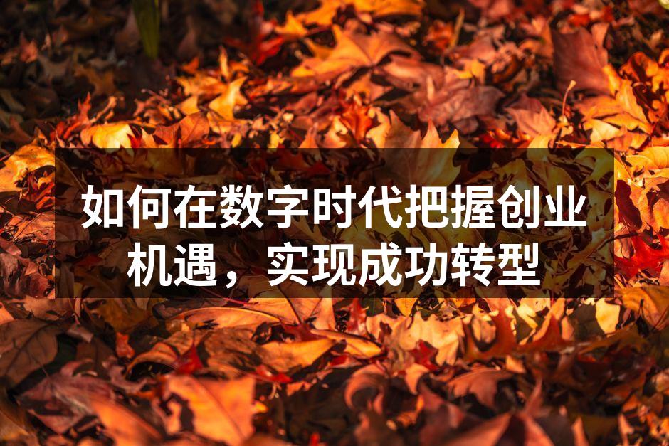如何在数字时代把握创业机遇，实现成功转型